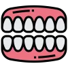 incisor incisor